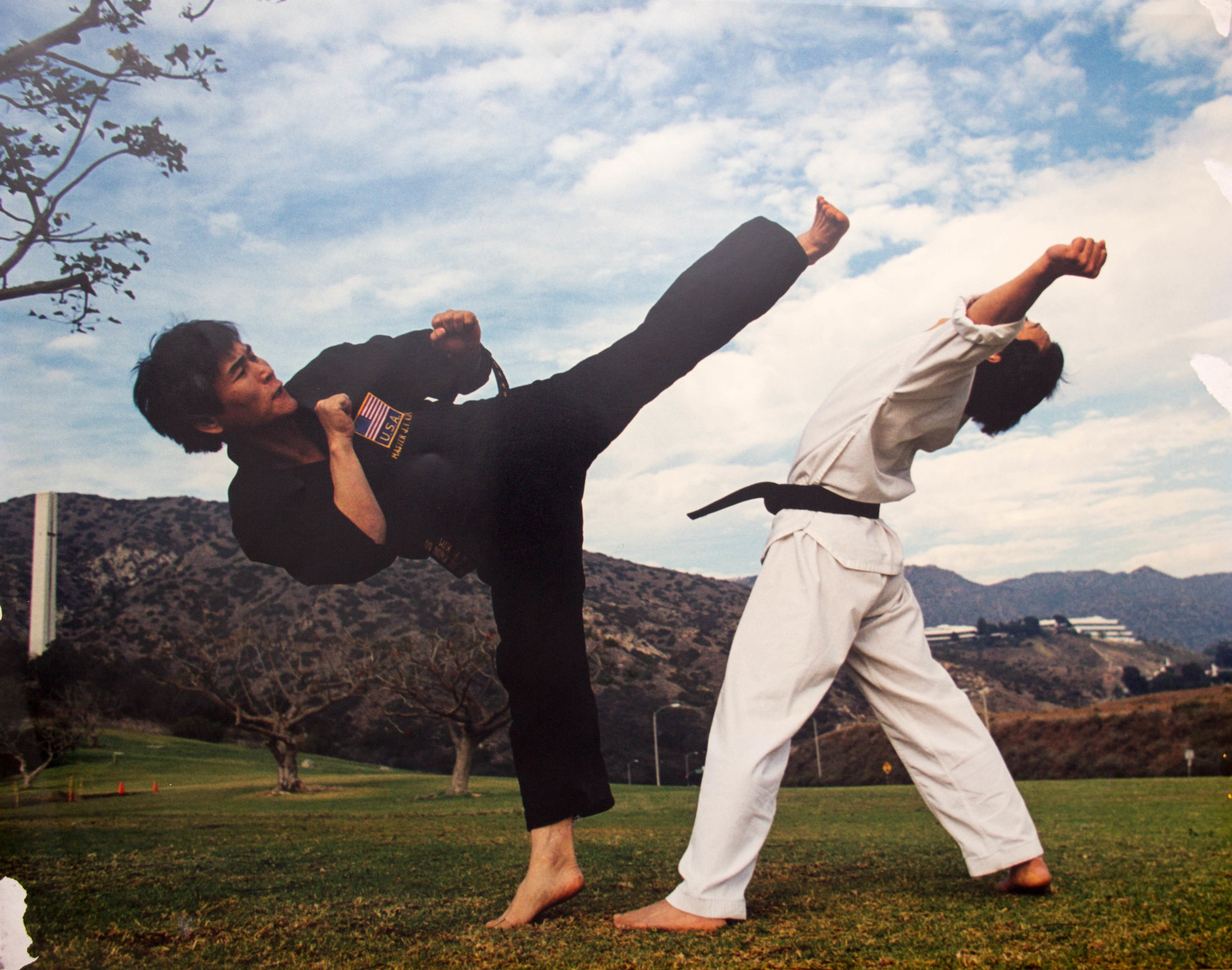 Training Kick Pic